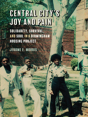 cover image of Central City's Joy and Pain
